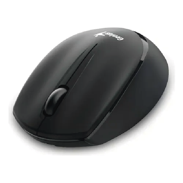Mouse Genius BlueEye RS2 NX-7009 Negro WiFi Mouse Genius BlueEye RS2 NX-7009 Negro WiFi